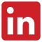 LinkedIn Icon
